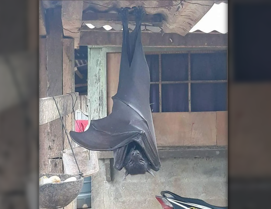 Та самая фотка, которая вызвала шумиху. 