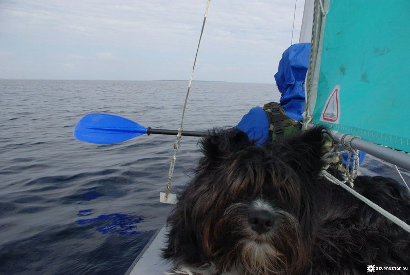 Байдарки под парусами. Идеальное и безотказное средство для сложных ...