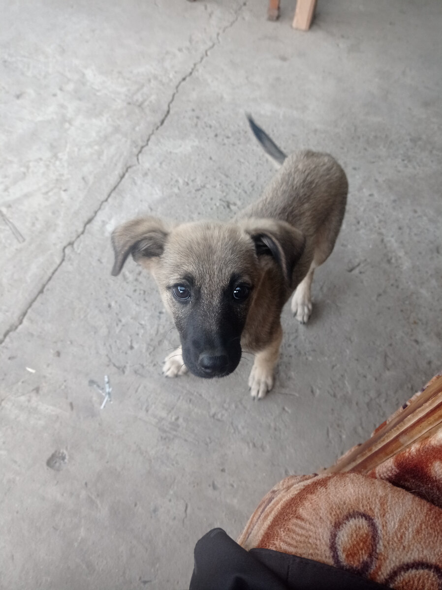 Чудо. Фото автора