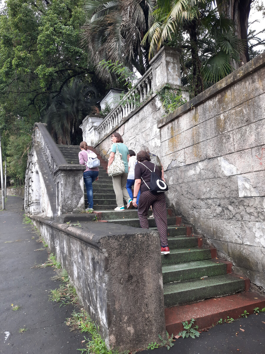 Вот по этой лестнице дружно поднялись туда , куда нельзя