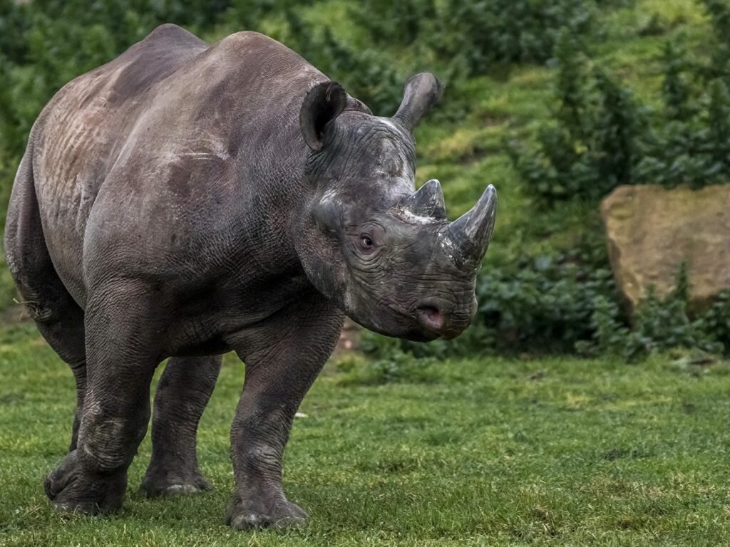 -2