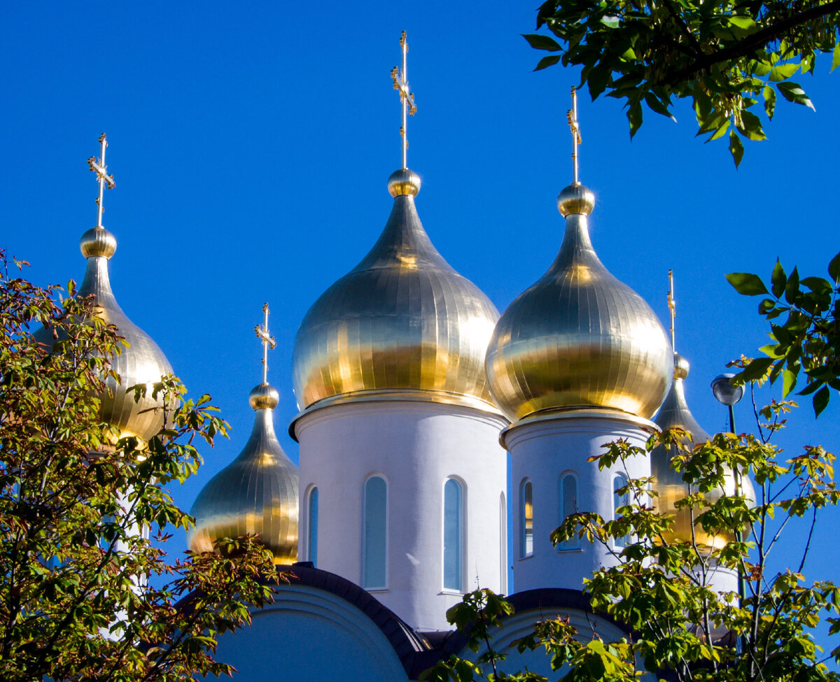 Источник фото Яндекс картинки