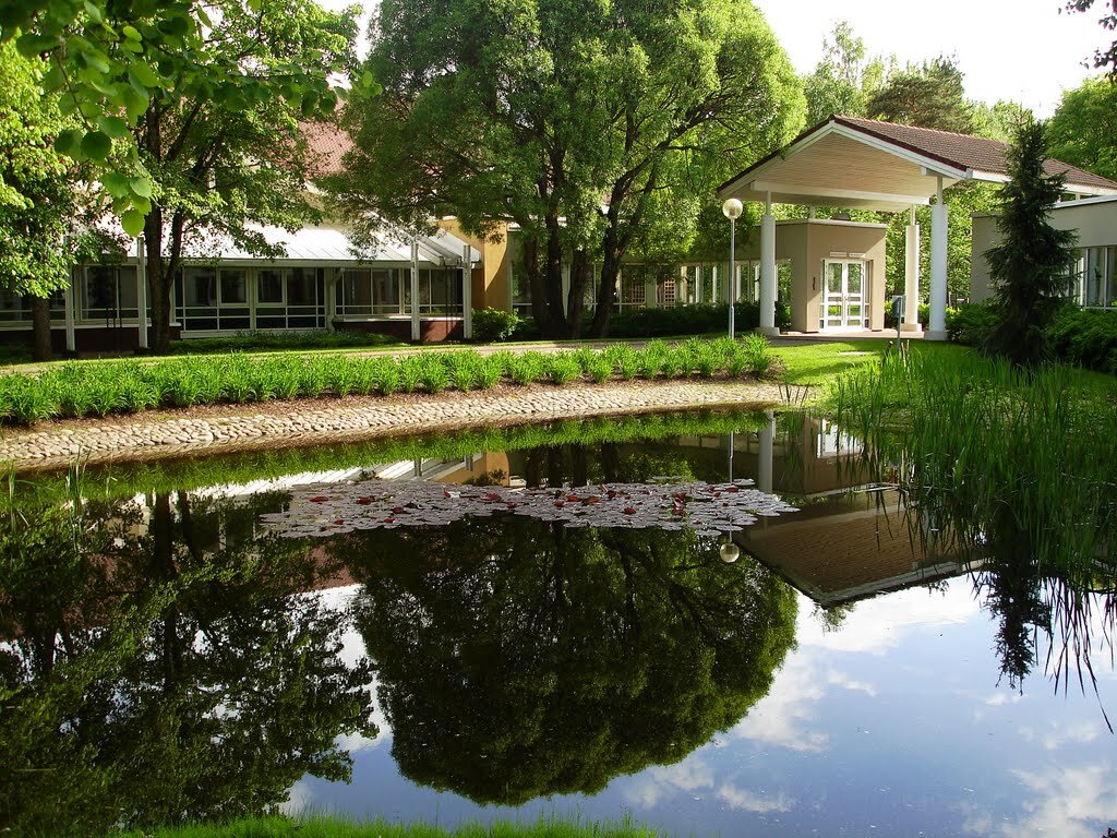 Изображение взято из открытых источников.