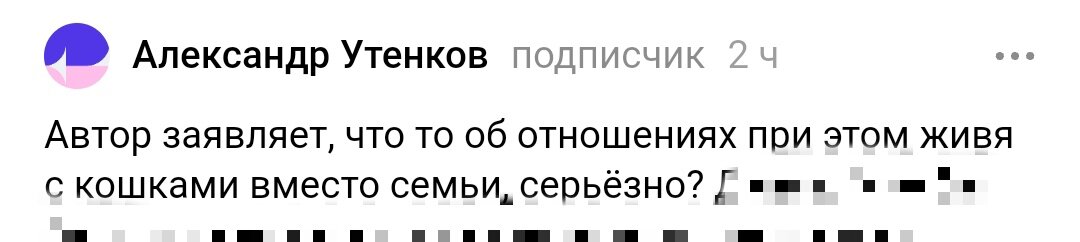 Замазала и обрезала то, что не относится к теме данной статьи