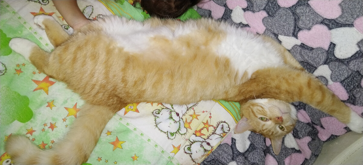 С дочкой спит)) 