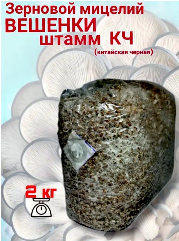 На Озоне зерновой мицелий вешенки. Можно получить 35 кг грибов. На грибную икру хватит. 