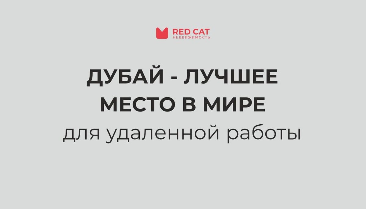 Дубай - лучшее место в мире для удаленной работы | Red Cat | Дзен