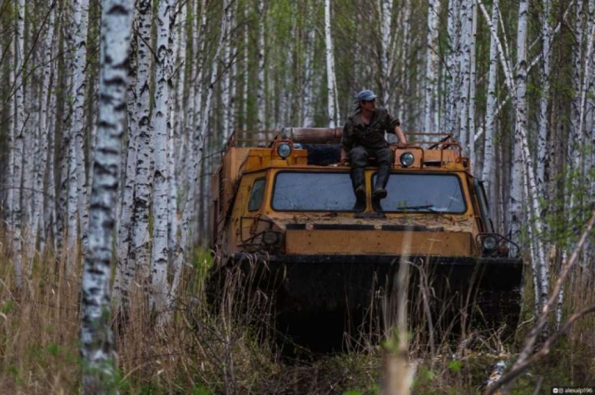    Поддержат рублём.