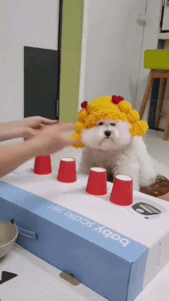 Зоркий глаз.