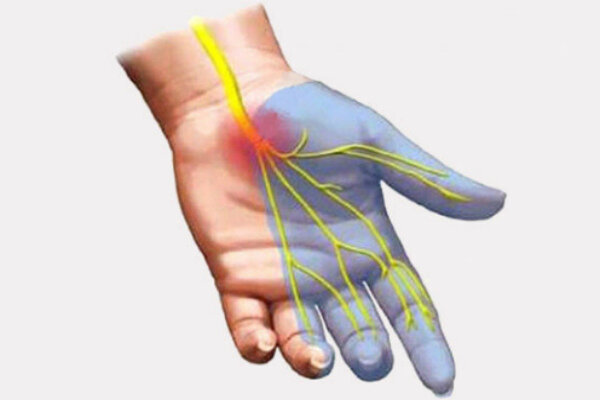  Источник: https://www.google.ru/imgres