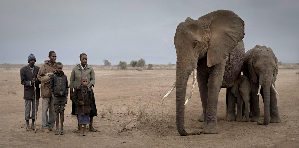 Исчезнувшие в дикой природе. Nick Brandt: this empty World. Elefante and Human.