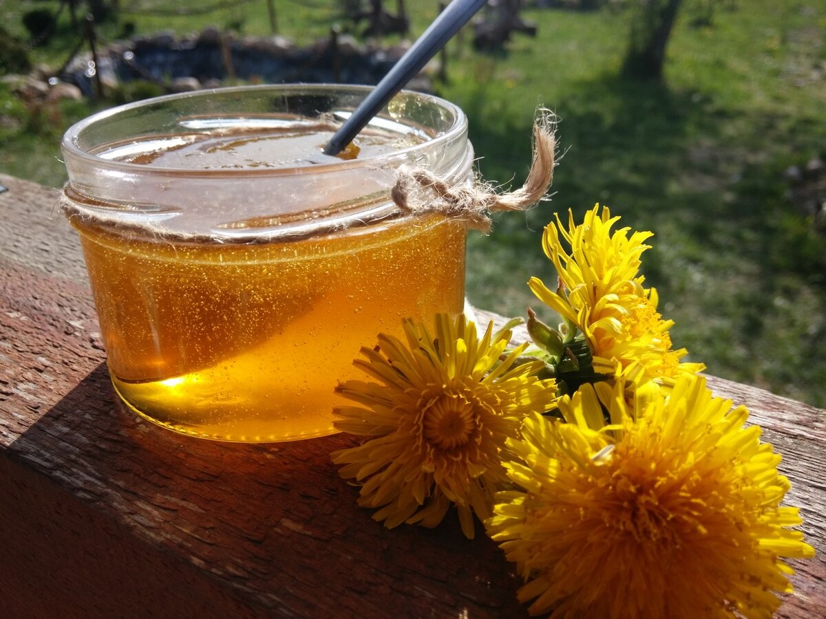 Можно ли пить чай из одуванчиков. Одуванчиковый мёд. Мед из одуванчиков цветков 400. Варенье из адуваньчика. Одуванчик варенье.