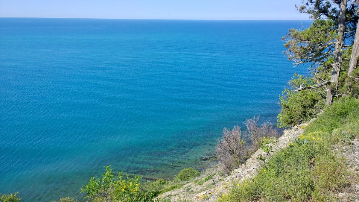 Краснодар край море