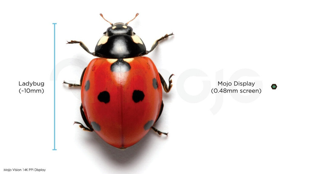 Источник: Mojo Vision