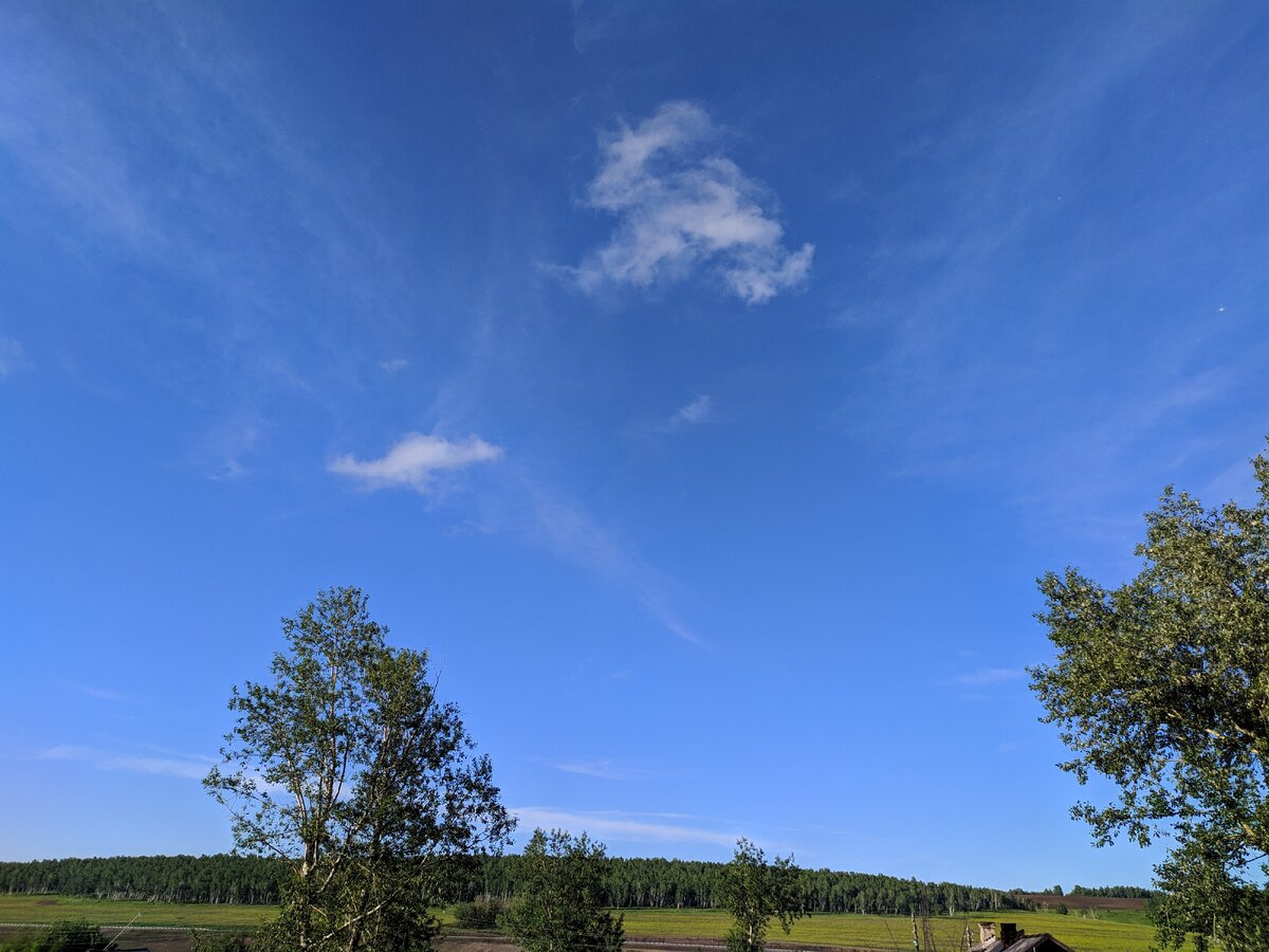 Просто поднимите голову вверх и посмотрите на эту красоту))) 