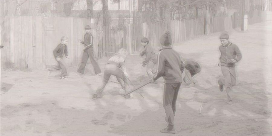 Клёк на земле. Фото из интернета.