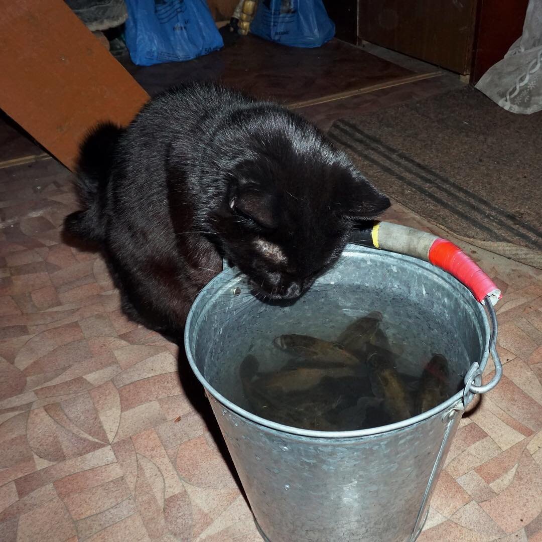 Глаз не оторвать