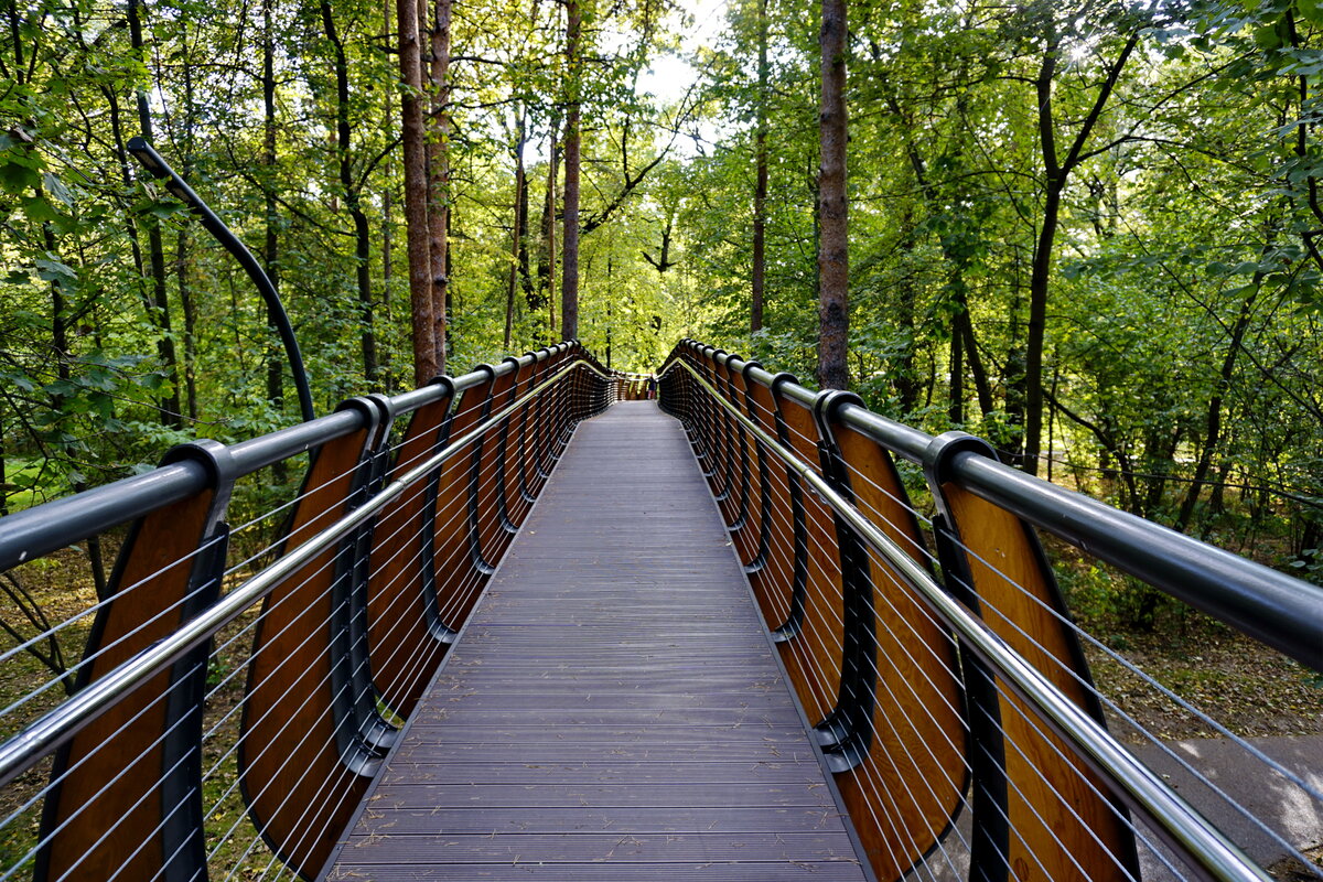 Moscow trail. Парк Останкино экотропа. Экотропа ВДНХ. Парк ВДНХ воздушная экотропа. ВДНХ Лесная тропа.