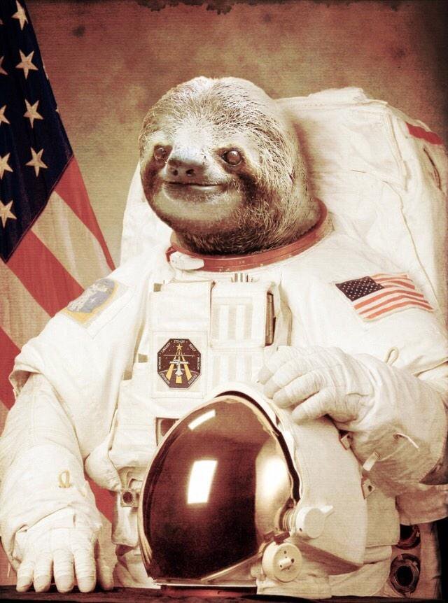 Не будь ленивцем!