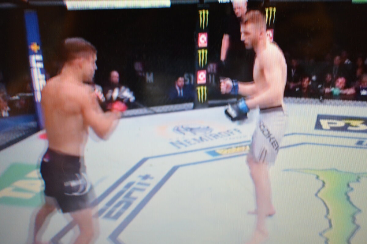 Бойцы быстро перемещались по октагону.