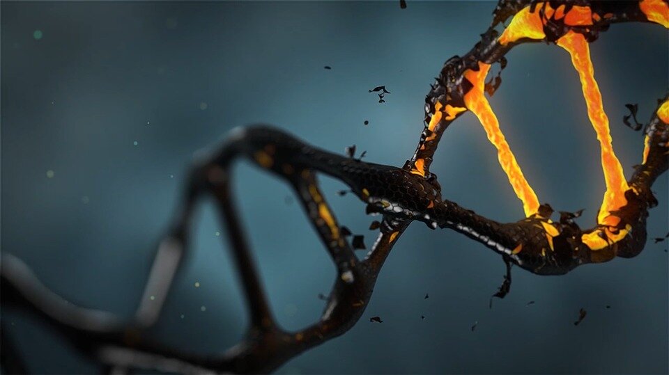 https://cdn.pixabay.com/photo/2016/12/13/11/20/dna-1903875_960_720.jpg