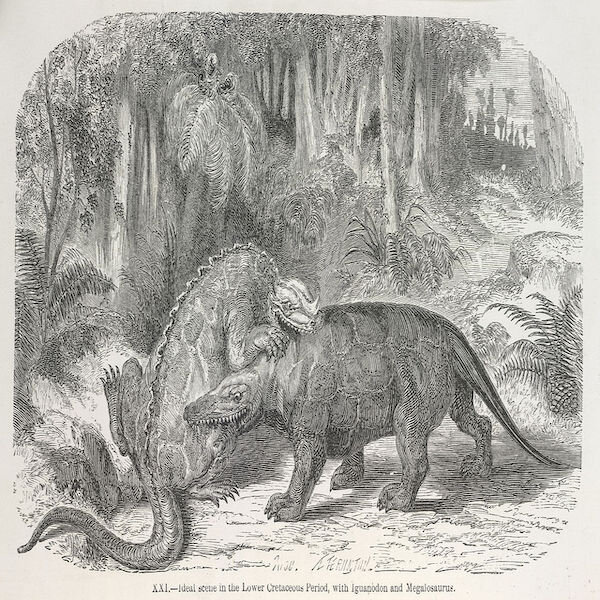 https://commons.wikimedia.org/wiki/File:Dinosaurs_fighting_-_The_World_before_the_Deluge_(1865),_plate_XXI_-_BL.jpg