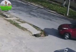 Не заметила большой ямы и въехала в неё. Автомобиль обездвижен.