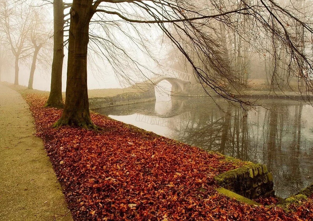 фото яндекс картинки