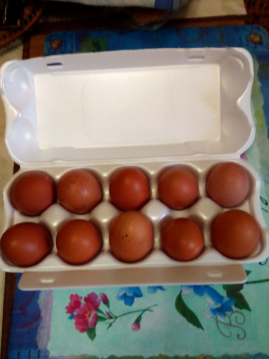 Довольно крупные для второй категории