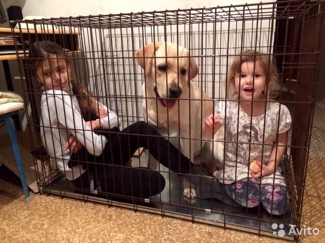 фото с просторов интернета