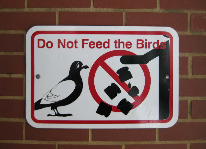запрет на птиц. запрет на птиц. кормление голубей запрещено табличка. перечеркнутый голубь.