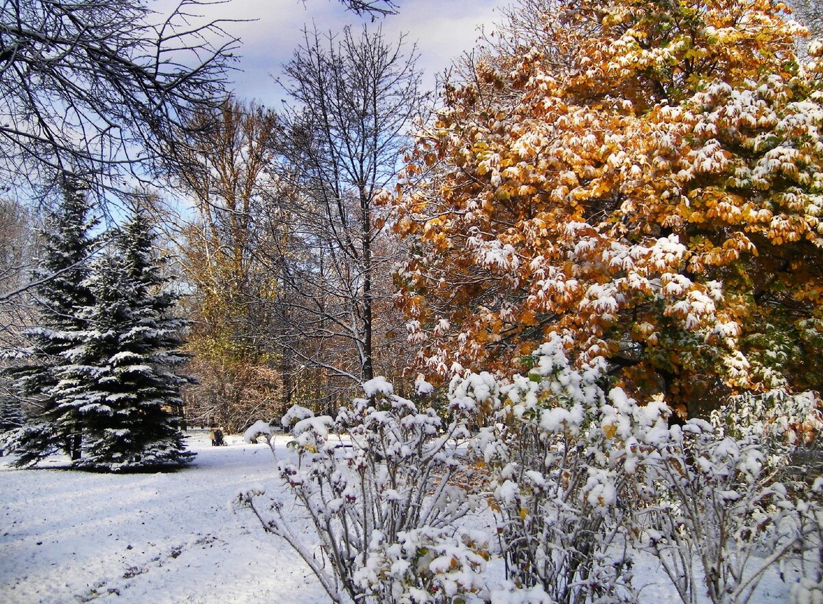 Ещё не зима, но уже красиво! Фото автора. 