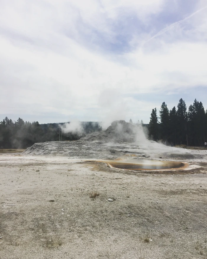 https://unsplash.com/photos/n2peD2EcfQo