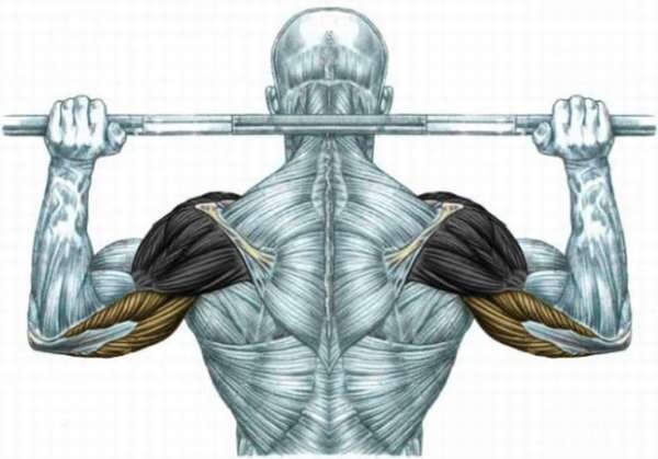 Жим из-за головы в Смите. Источник Яндекс. Картинки