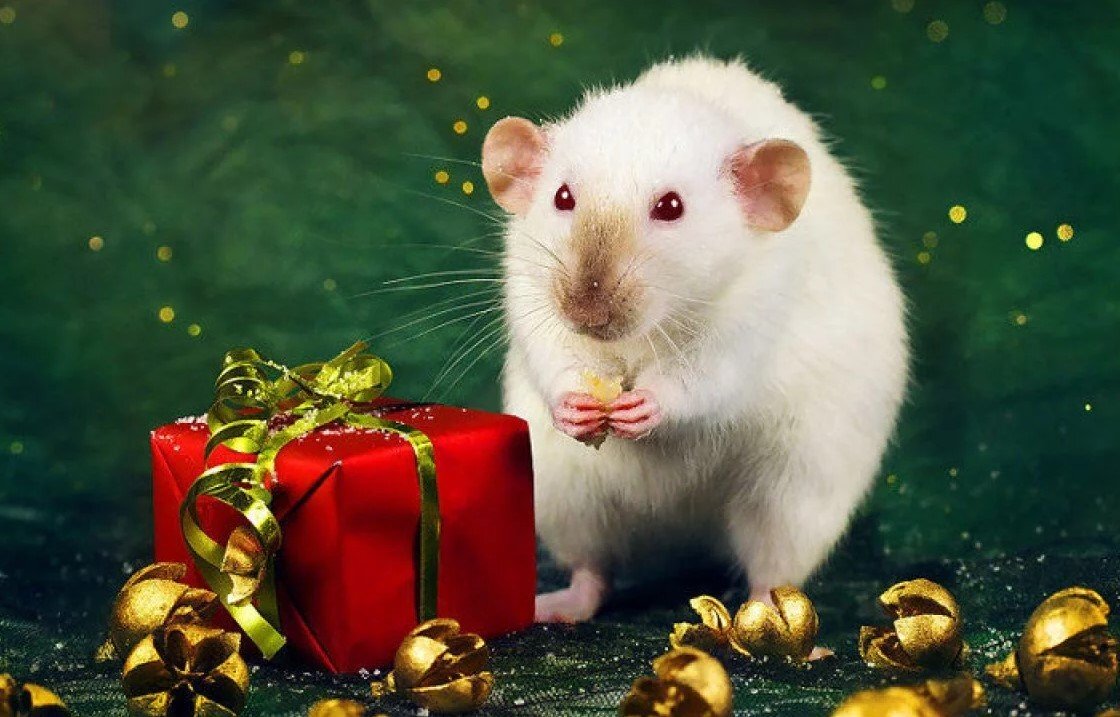 Картинка взята с архива "Яндекс картинки"