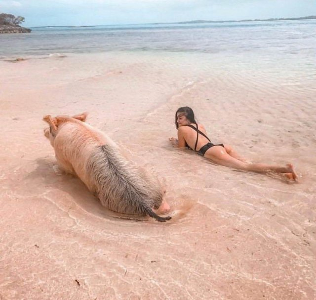 Источник Яндекс Картинки