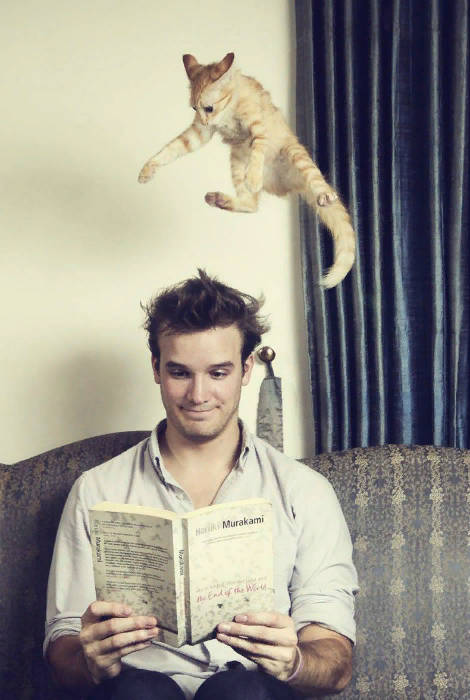 фото из открытых источников