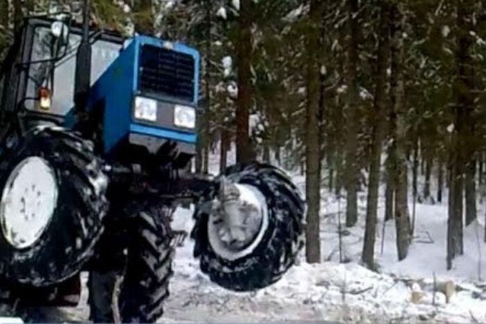 Фото из Яндекс Картинок