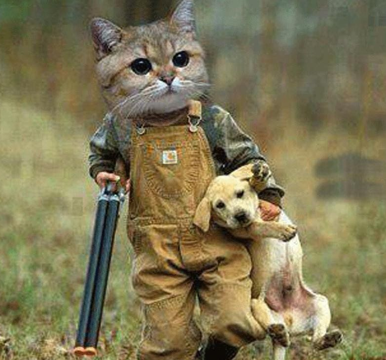 Источник картинки: https://www.pinterest.ru/pin/732046114414120091/
