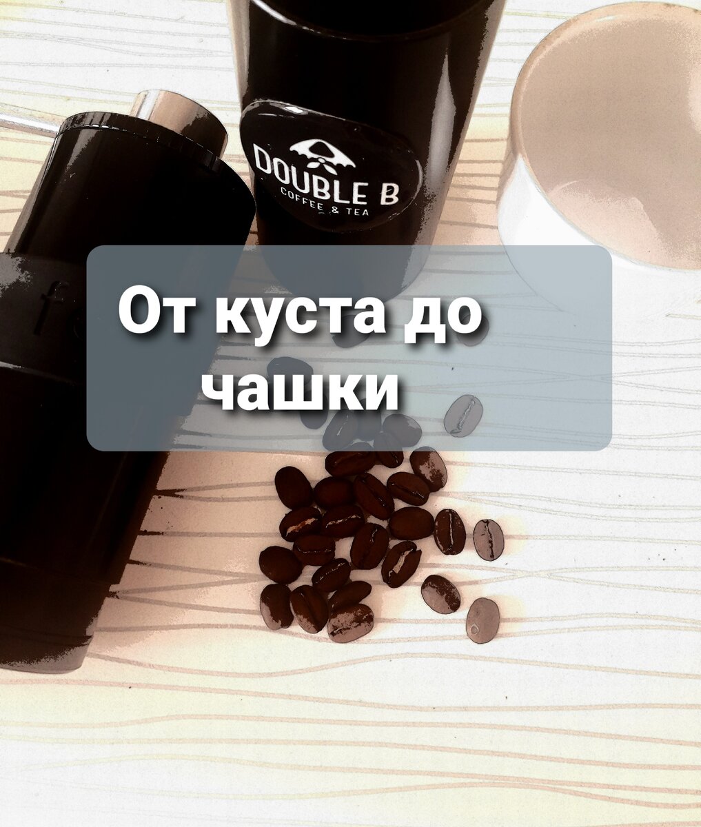 Для обложки. Фото автора