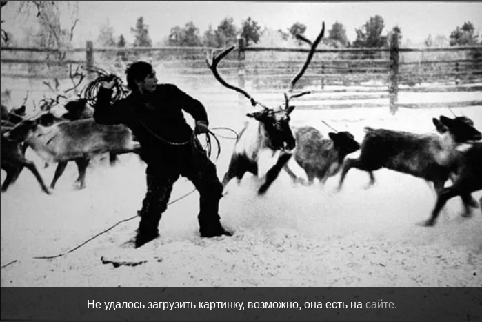 Помоечные шедевры: фотографии Кольского полуострова, пропадающие из сети