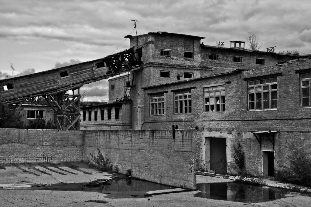 Фото из свободного доступа