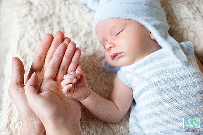 Фото взято из открытых источников