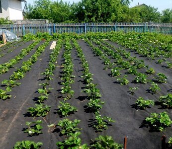 Изучите возможность подключения к существующей сети