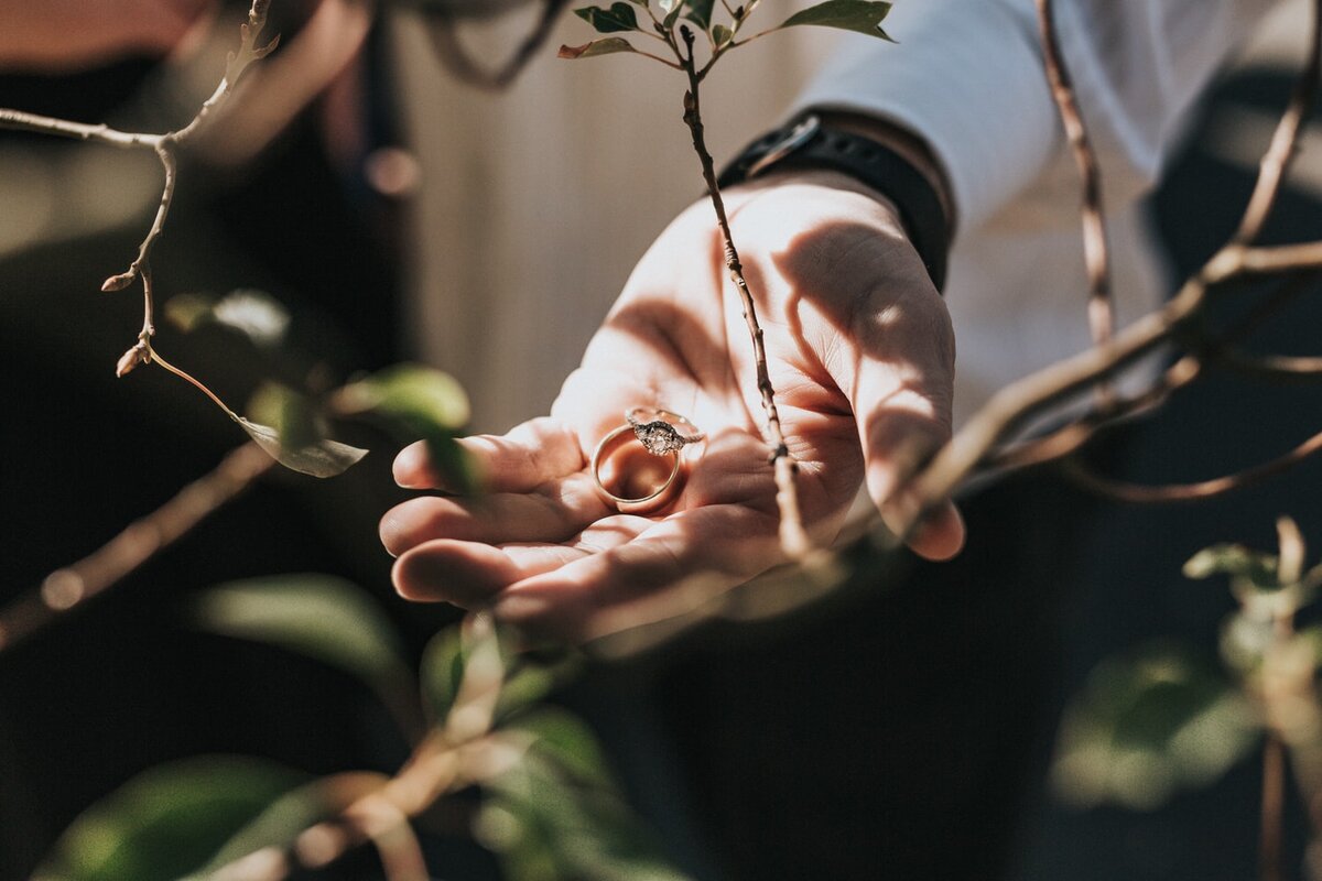 https://unsplash.com/
