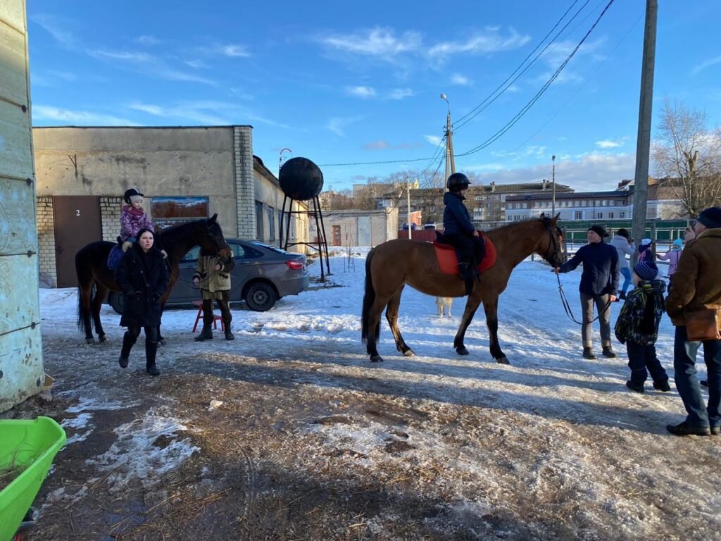 Только не на мясо! Конный клуб на ипподроме в Твери находится на грани  выживания | Караван Ярмарка | Дзен