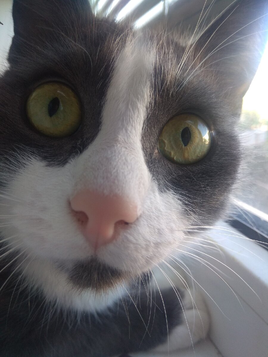 

Мы живём в такое время, что все вокруг перегружает нас различной информацией и как никогда это необходимо контролировать. 
СМИ, социальные сети, пропаганда и многое другое создаёт информационный шум, который влияет на наше сознание и восприятие мира. Зачастую шумы используют намерено, для дезинформации людей, потому что человек из-за переизбытка информации не может анализировать ситуацию и трезво мыслить. Избавиться от этого явления нам не подвластно, но фильтровать информацию нам подсилу

Каждый день мы должны отсеивать лишние куски. Распыление на многие вопросы не приведет к истине. Так что, господа, читаем =воспринимаем=проверяем достоверность источника=анализируем

Не будем давать возможности ввести себя в заблуждение. Спасибо за просмотр.