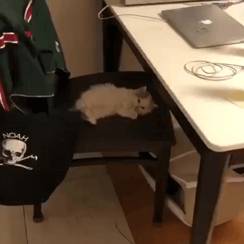 Нажми на картинку, чтобы посмотреть видео. Источник: Ютуб.