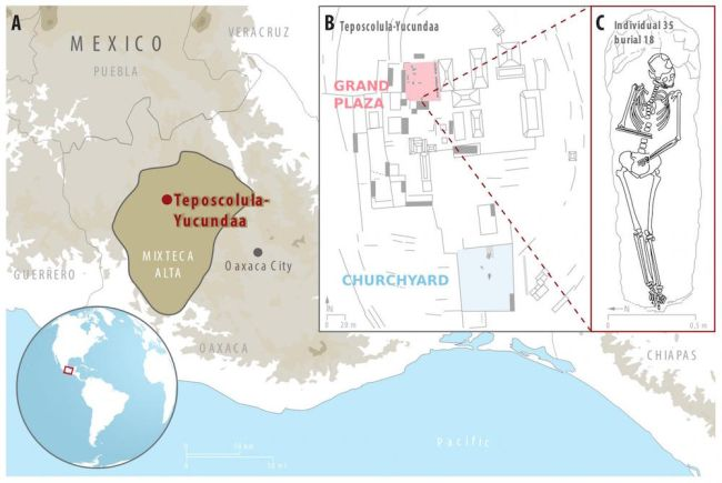 Карта (а) с указанием Тепосколула-Юкундаа в южной Мексике, в том числе где проводились раскопки и (Б) рисунок одного из лиц (в), которые имели Salmonella enterica. 