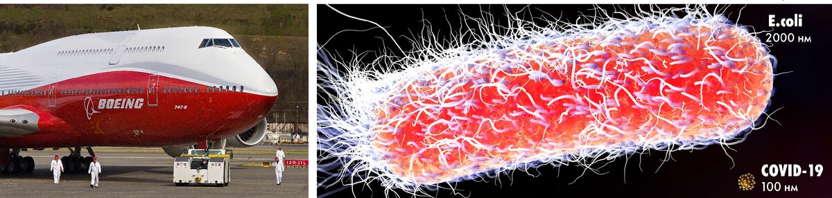 Так в масштабе выглядит короновирус и бактерия. Пропорции те же, что и у человека и Боинга 747